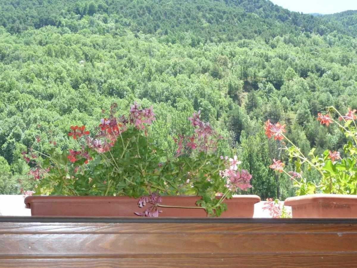 Casa vacanze Casa La Lourdes *